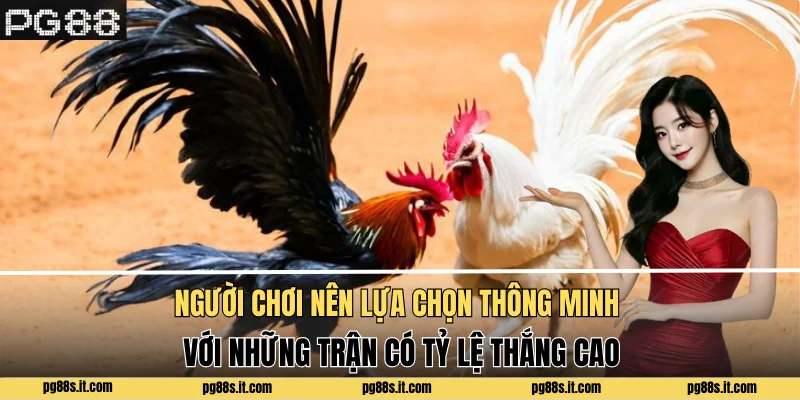 Người chơi nên lựa chọn thông minh với những trận có tỷ lệ thắng cao