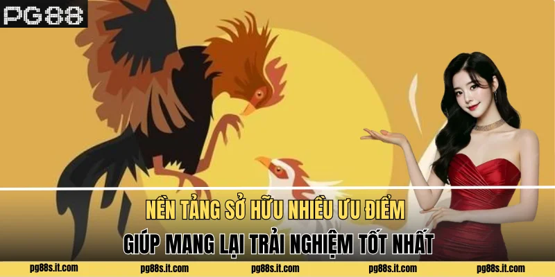 Nền tảng sở hữu nhiều ưu điểm giúp mang lại trải nghiệm tốt nhất