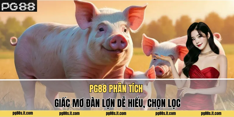 PG88 phân tích giấc mơ đàn lợn dễ hiểu, chọn lọc