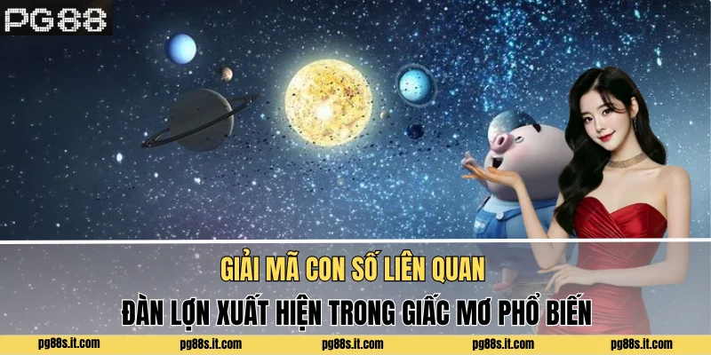 Giải mã con số liên quan đàn lợn xuất hiện trong giấc mơ phổ biến