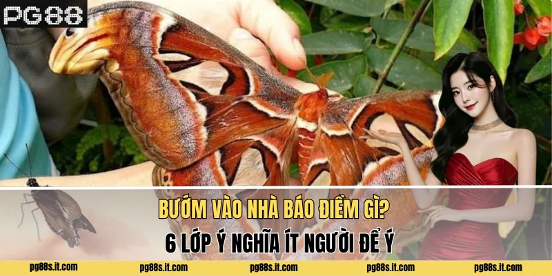 Bướm Vào Nhà Báo Điềm Gì? 6 Lớp Ý Nghĩa Ít Người Để Ý