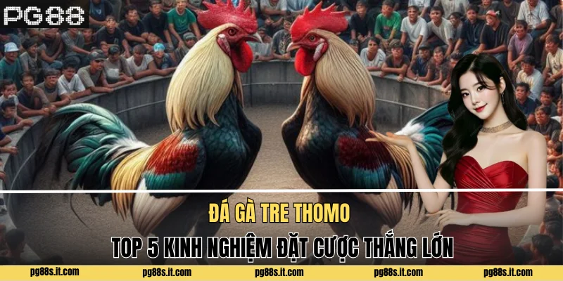 Đá Gà Tre Thomo - Top 5 Kinh Nghiệm Đặt Cược Thắng Lớn